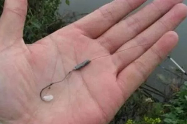 黑漂打不到鱼的原因，可能是调漂过灵、鱼钩问题等