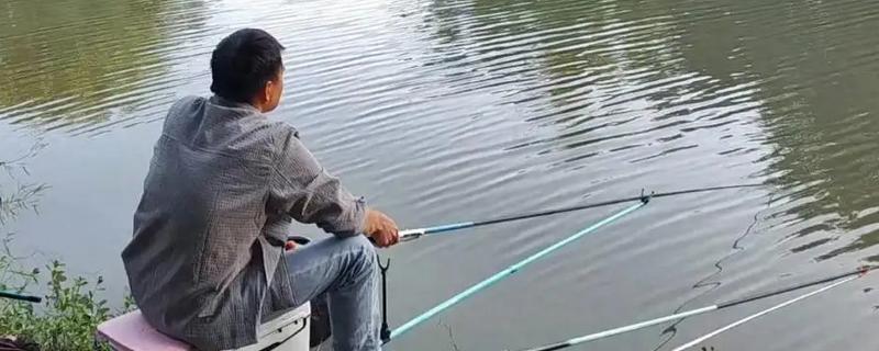 0.8号主线0.6号子线可以钓多大鱼,适合钓半斤至1斤的鱼