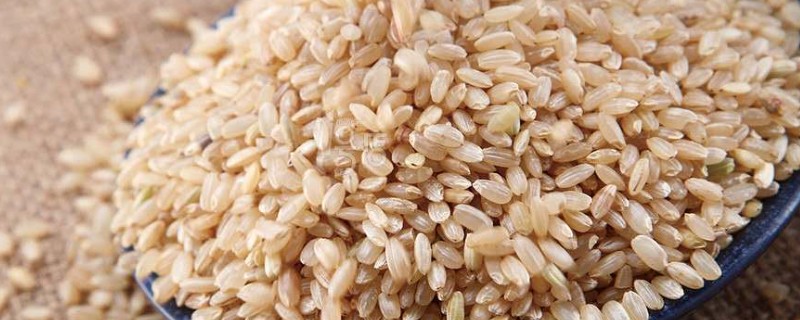 什么是糙米，就是保留了一些外层组织的稻米