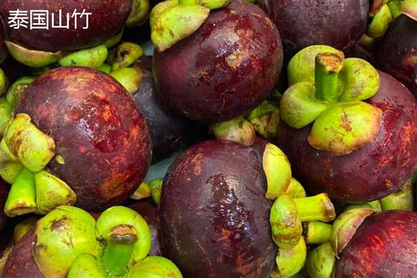 山竹的常见品种，有印度山竹、泰国山竹等