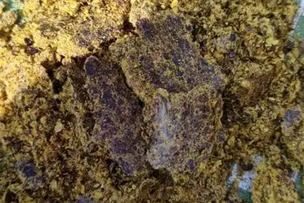 饼粕类饲料如何合理使用，菜籽饼不要多喂
