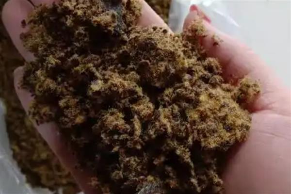 饼粕类饲料如何合理使用，菜籽饼不要多喂