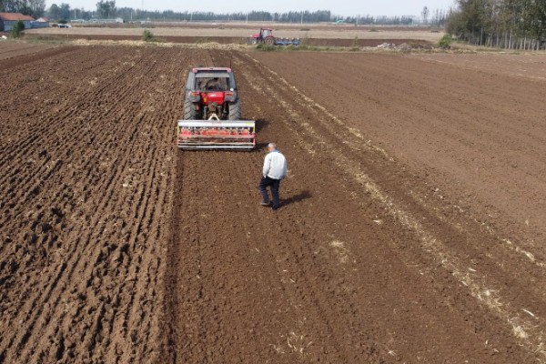 小麦的生长期，一共分为11个阶段