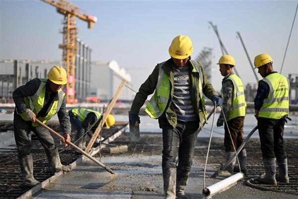 农村创业做什么，推荐直播销售产品、承包果园等