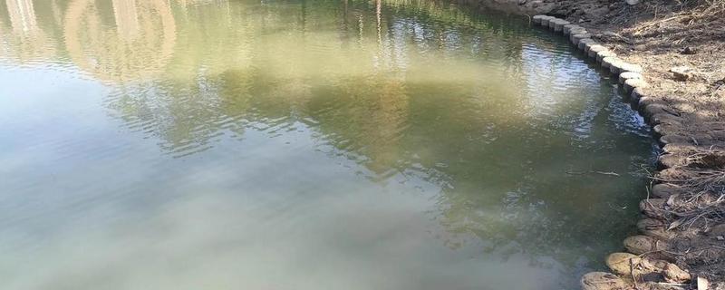 怎样建造鱼池，选择水源充足的地方建造