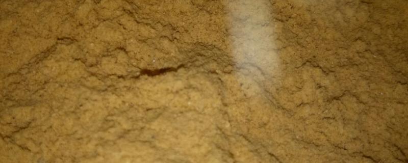 大豆胚芽粉能不能代替豆粕，作为替代物不会影响饲料的品质