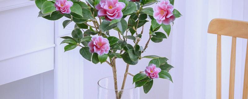 用哪种水给折枝山茶花保鲜，以干净的雨水、湖水、矿泉水为宜