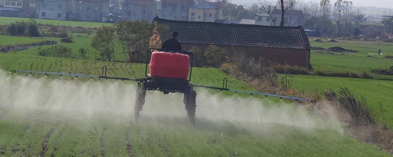 打小麦除草剂经过三天降温有影响吗，杂草已经吸收有效成分会逐渐死亡