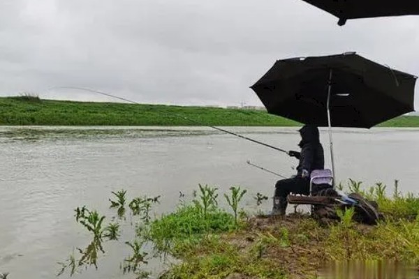 下雨天可以钓鱼吗，下雨天能钓到鱼