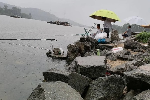下雨天可以钓鱼吗，下雨天能钓到鱼