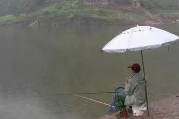 下雨天可以钓鱼吗，下雨天能钓到鱼