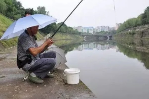 下雨天可以钓鱼吗，下雨天能钓到鱼