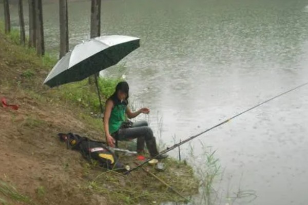 下雨天可以钓鱼吗，下雨天能钓到鱼