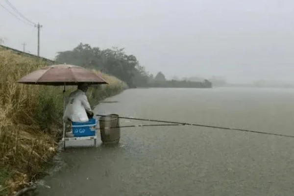 下雨天可以钓鱼吗，下雨天能钓到鱼