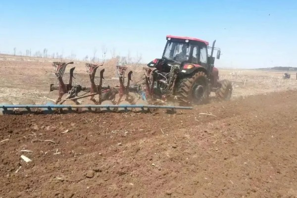 红提葡萄病害的防治方式,需及时喷药