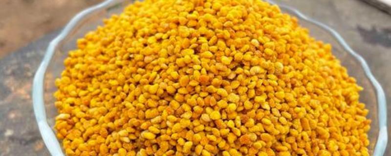 荷花粉的吃法，最简单的就是用温开水送服