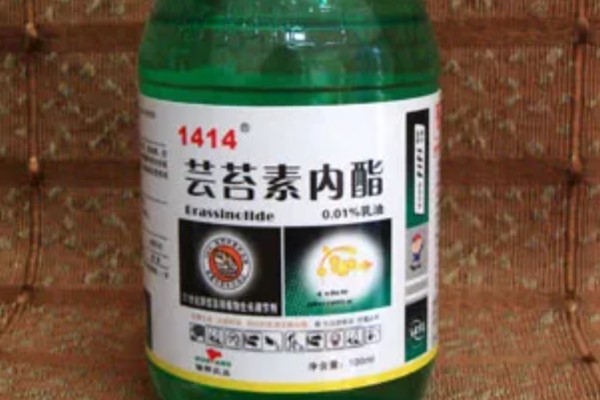 芸苔素内酯的作用,可增甜、着色、促花保果等