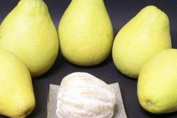 柚子在什么季节成熟，在10份到11月份之间成熟