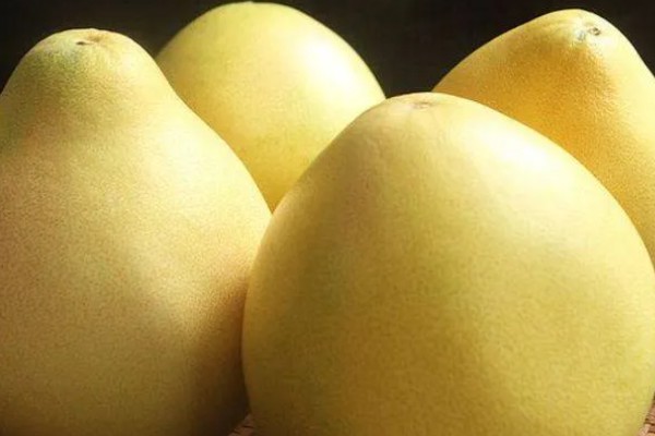 柚子在什么季节成熟，在10份到11月份之间成熟