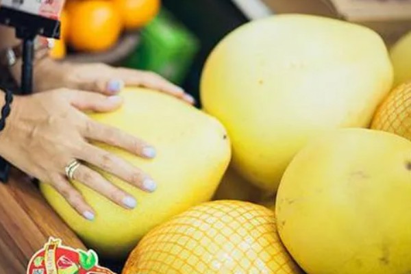 柚子在什么季节成熟，在10份到11月份之间成熟