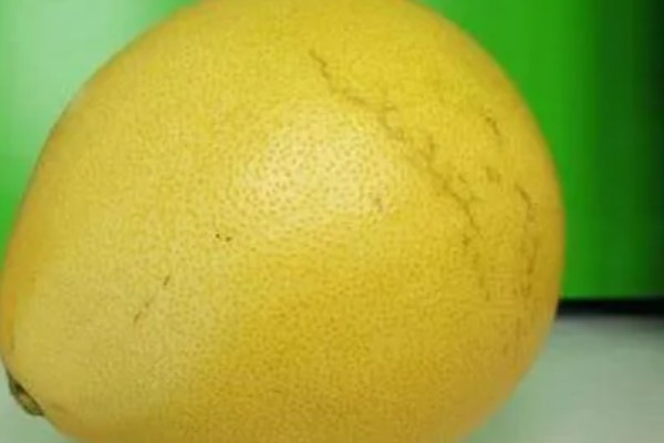 柚子在什么季节成熟，在10份到11月份之间成熟