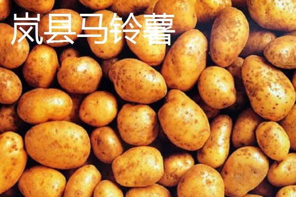 山西岚县的特产，莜面在自治区西部被誉为一宝