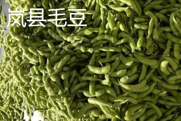 山西岚县的特产，莜面在自治区西部被誉为一宝