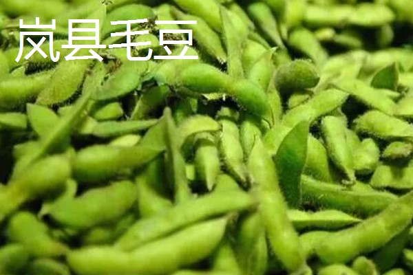 山西岚县的特产，莜面在自治区西部被誉为一宝
