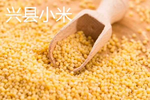 山西岚县的特产，莜面在自治区西部被誉为一宝