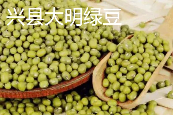 山西岚县的特产，莜面在自治区西部被誉为一宝