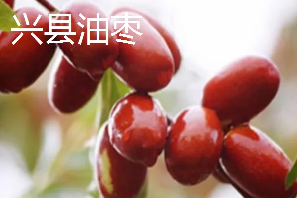 山西岚县的特产，莜面在自治区西部被誉为一宝