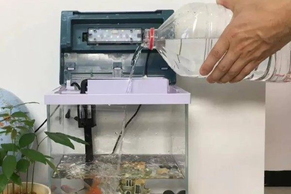 观赏鱼身上有红斑怎么办，需要用药物治疗