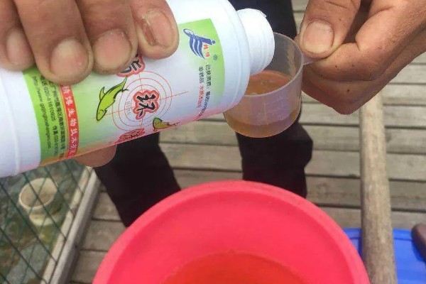观赏鱼身上有红斑怎么办，需要用药物治疗