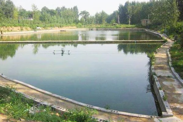 怎样建造鱼池，选择水源充足的地方建造