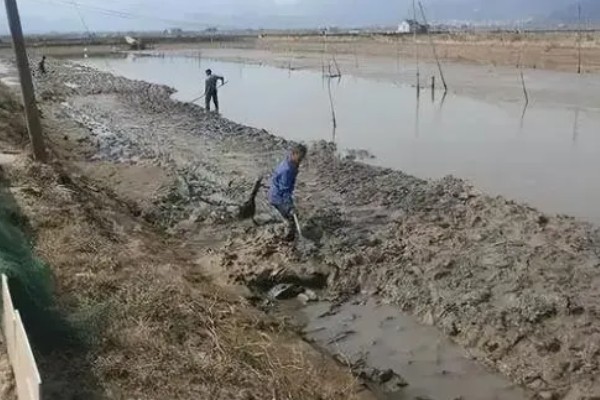 怎样建造鱼池，选择水源充足的地方建造