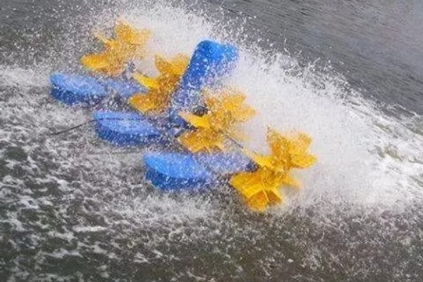 怎样建造鱼池，选择水源充足的地方建造