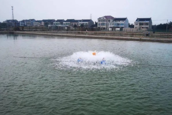 怎样建造鱼池，选择水源充足的地方建造