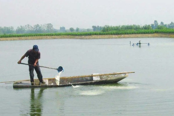 怎样建造鱼池，选择水源充足的地方建造
