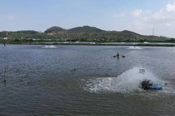 怎样建造鱼池，选择水源充足的地方建造