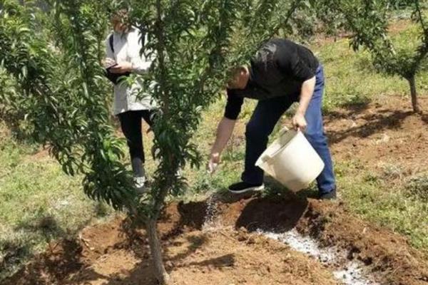 碳酸钾是哪种肥料,是一种优异的水溶肥料
