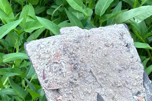 碳酸钾是哪种肥料,是一种优异的水溶肥料