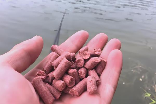 钓鲤鱼用什么打窝料，可以用五谷杂粮、酒米等
