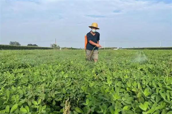 草甘膦异丙胺盐对土壤有哪些危害,容易失去活性