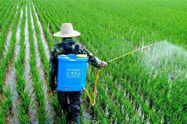 草甘膦异丙胺盐对土壤有哪些危害,容易失去活性