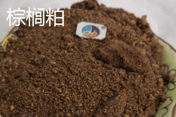 大豆胚芽粉能不能代替豆粕,作为替代物不会影响饲料的品质