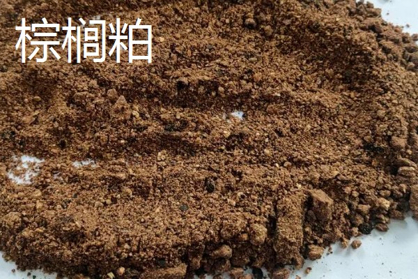 大豆胚芽粉能不能代替豆粕,作为替代物不会影响饲料的品质