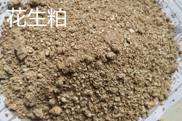 大豆胚芽粉能不能代替豆粕,作为替代物不会影响饲料的品质