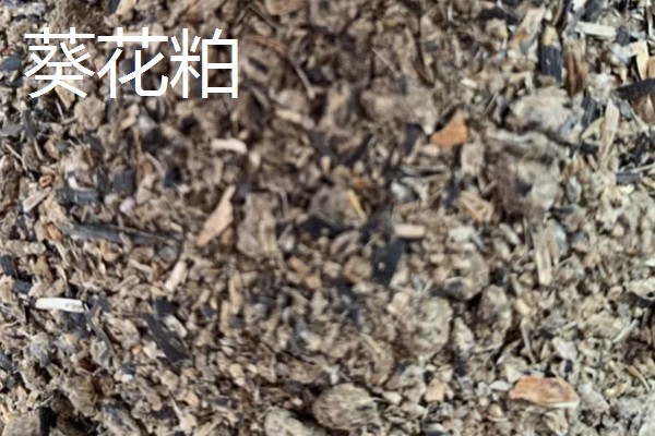 大豆胚芽粉能不能代替豆粕,作为替代物不会影响饲料的品质