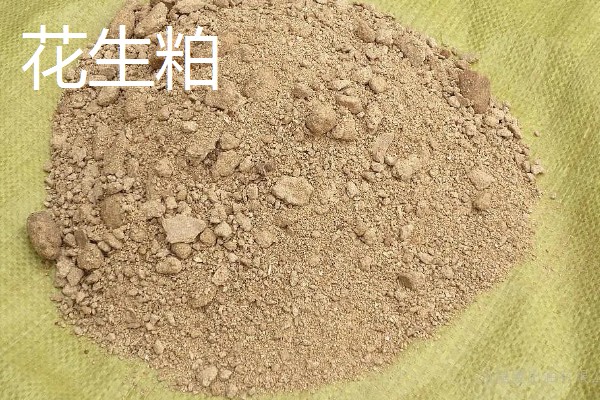 大豆胚芽粉能不能代替豆粕,作为替代物不会影响饲料的品质