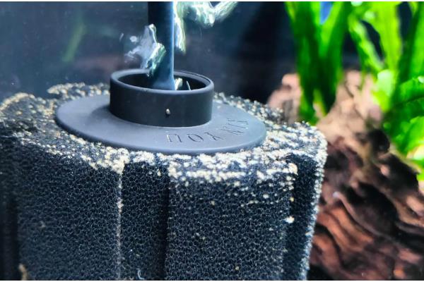 水妖精可以代替过滤吗,水妖精可以代替过滤